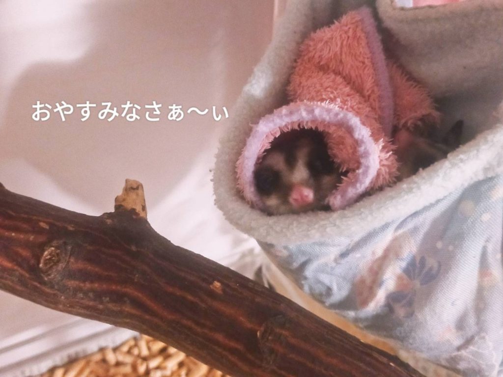 ノブレス横浜、空室出ました！お部屋の中もご案内可👍