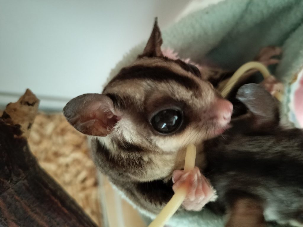 ノブレス横浜、満室になりました㊗