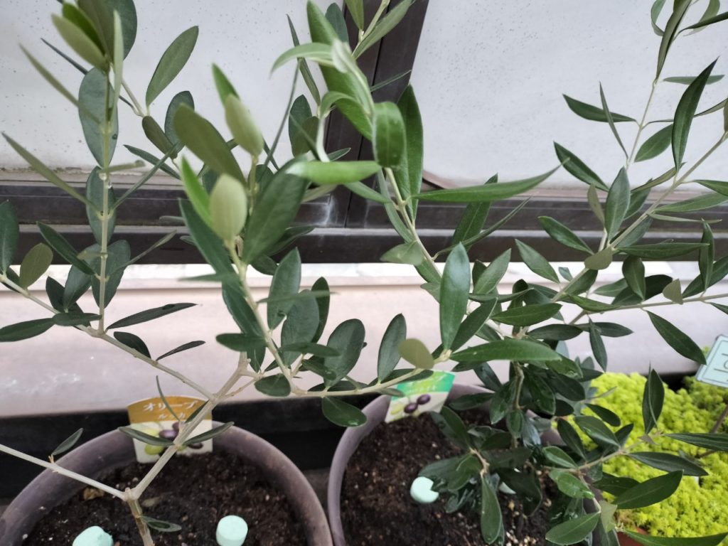 ノブレス横浜、空室でます！最新の空室情報！！🚪