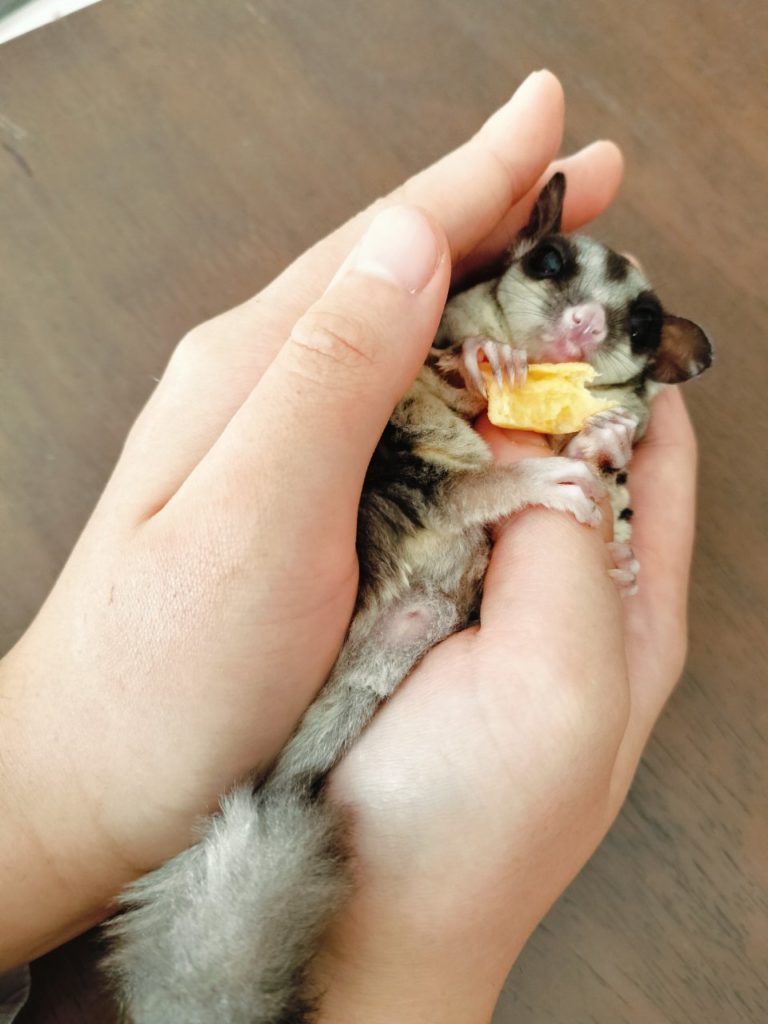 空室募集、最新情報🚪