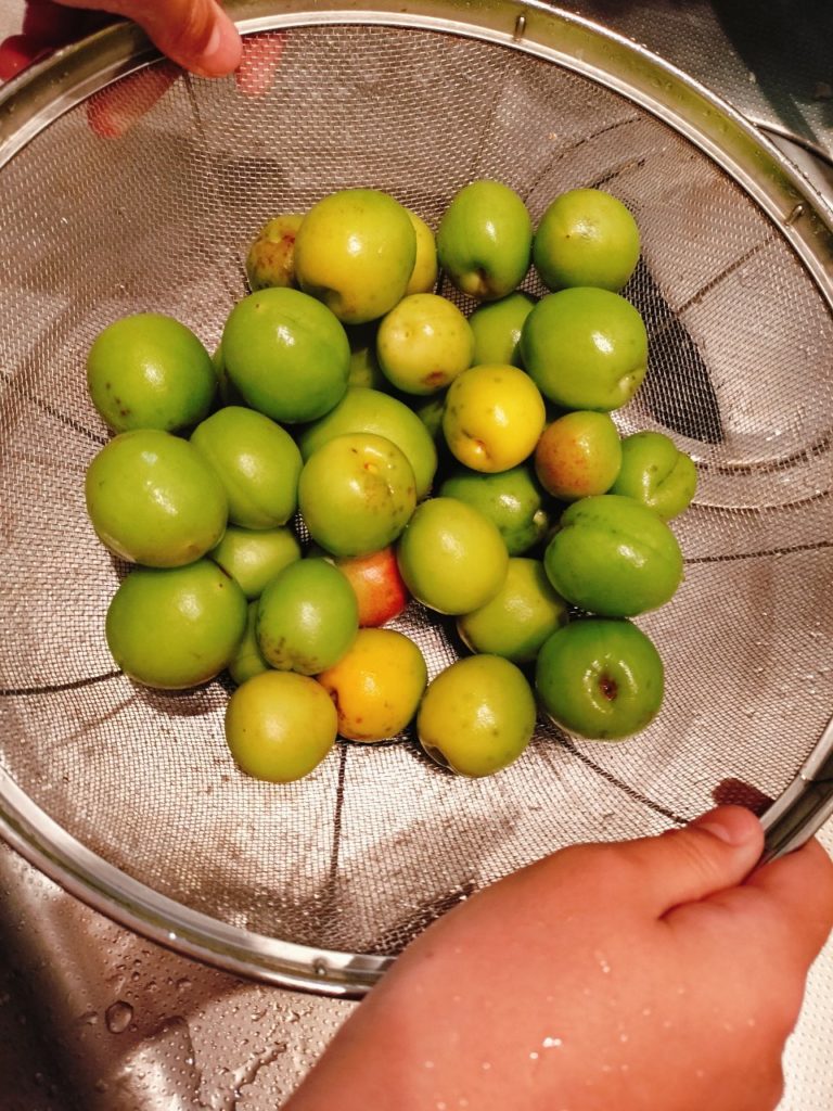 ノブレス横浜203号室、お申込みをいただきました