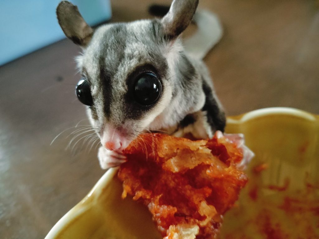 夏季休業のお知らせ