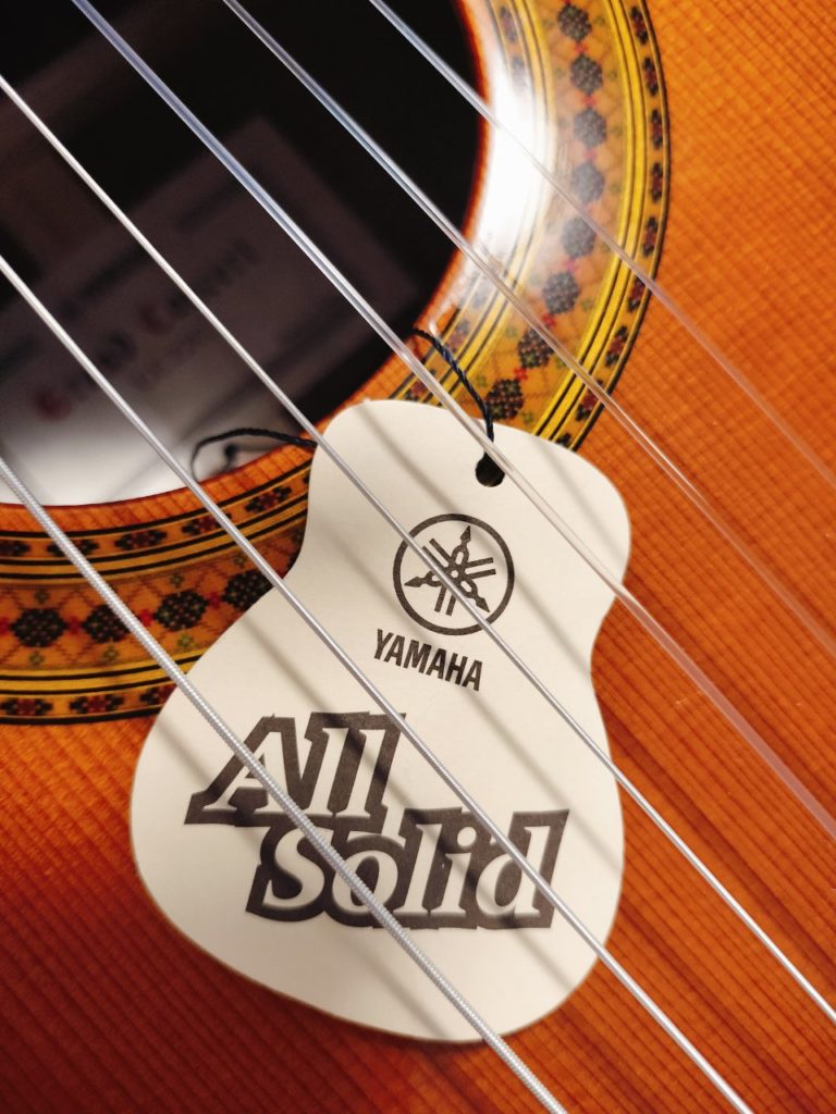 ドミトリー、久々の空室出ます！