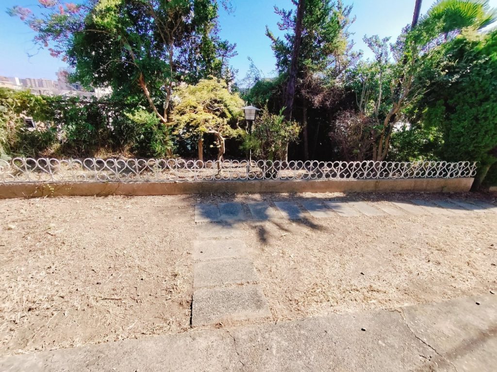 きれいになったお庭、新しい入居者さん😻