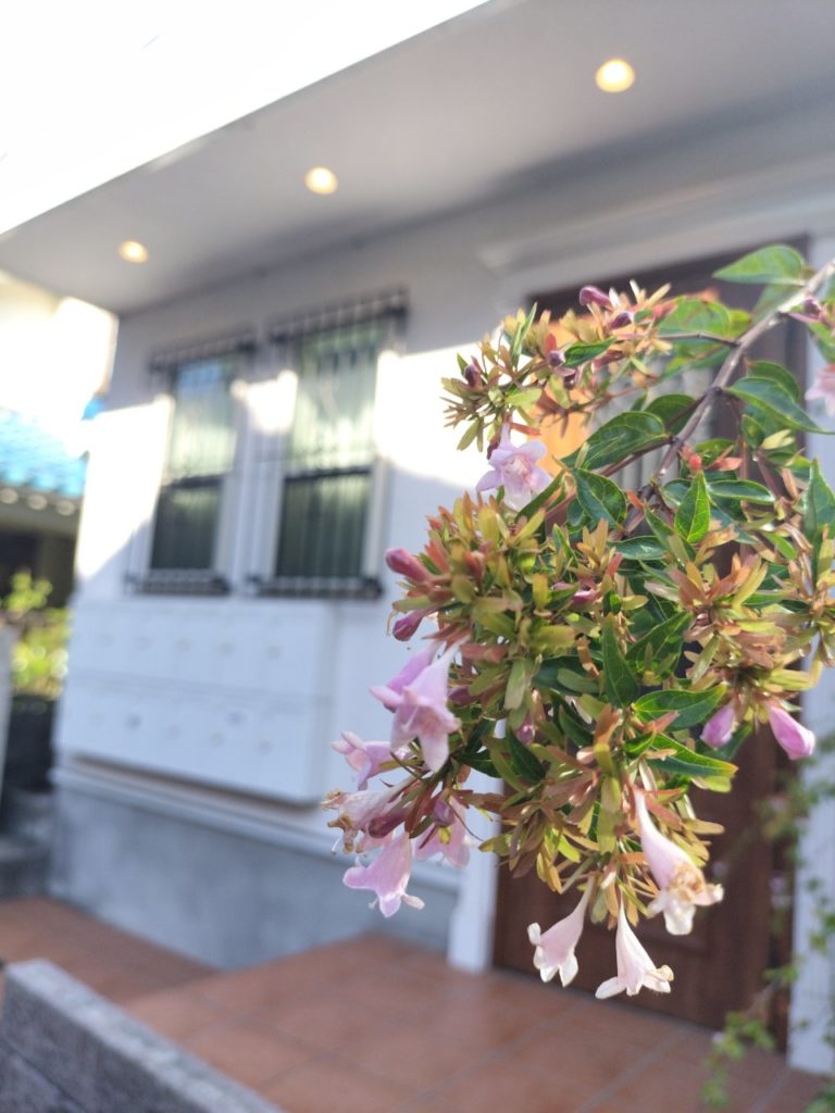 最新！ノブレス横浜いろいろ撮影してきました📷