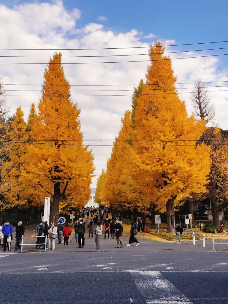 ノブレス横浜、空室出ます！最新の空室情報